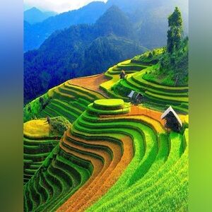 🐼🌾🈴🐼🌾🈴🐼🌾🈴🐼🌾🈴🐼🌾🈴🐼🌾🈴